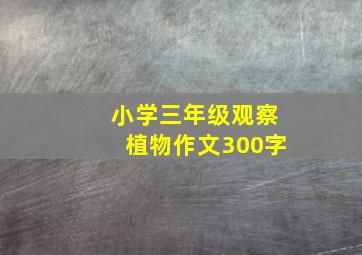 小学三年级观察植物作文300字