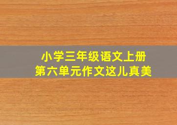 小学三年级语文上册第六单元作文这儿真美