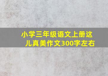 小学三年级语文上册这儿真美作文300字左右