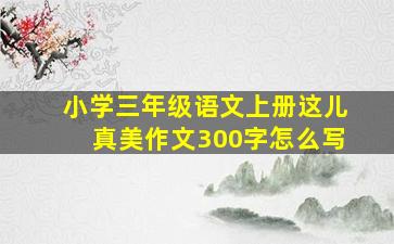 小学三年级语文上册这儿真美作文300字怎么写