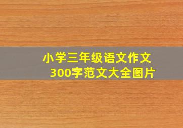 小学三年级语文作文300字范文大全图片