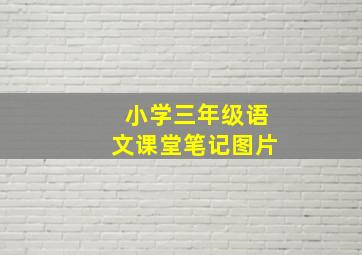 小学三年级语文课堂笔记图片