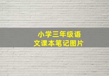 小学三年级语文课本笔记图片