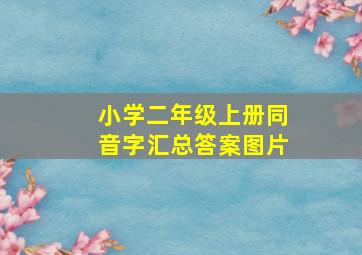 小学二年级上册同音字汇总答案图片