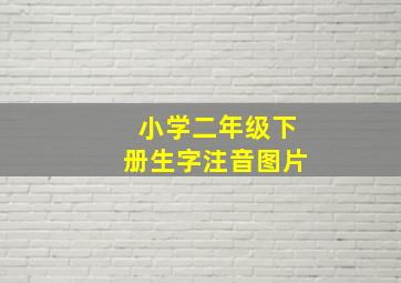 小学二年级下册生字注音图片