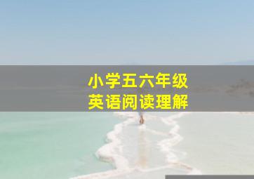 小学五六年级英语阅读理解