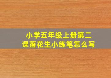 小学五年级上册第二课落花生小练笔怎么写