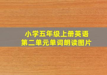 小学五年级上册英语第二单元单词朗读图片