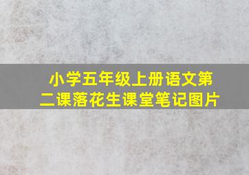 小学五年级上册语文第二课落花生课堂笔记图片