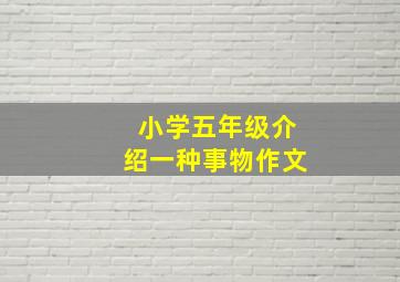 小学五年级介绍一种事物作文