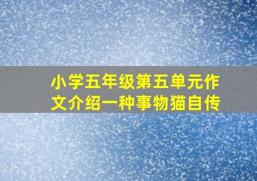 小学五年级第五单元作文介绍一种事物猫自传