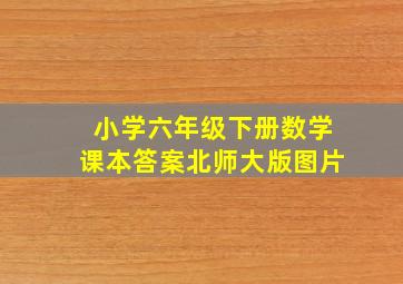 小学六年级下册数学课本答案北师大版图片