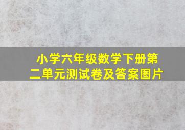 小学六年级数学下册第二单元测试卷及答案图片