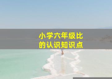 小学六年级比的认识知识点