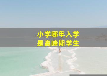 小学哪年入学是高峰期学生