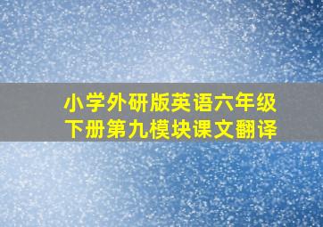 小学外研版英语六年级下册第九模块课文翻译