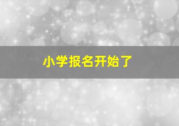 小学报名开始了