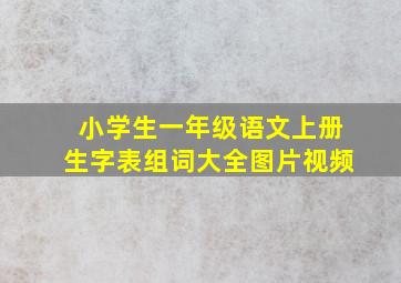 小学生一年级语文上册生字表组词大全图片视频