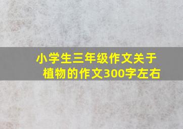 小学生三年级作文关于植物的作文300字左右