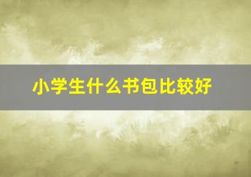 小学生什么书包比较好