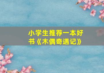 小学生推荐一本好书《木偶奇遇记》