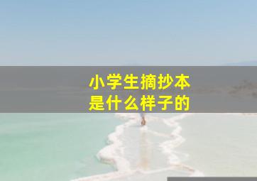 小学生摘抄本是什么样子的