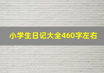 小学生日记大全460字左右