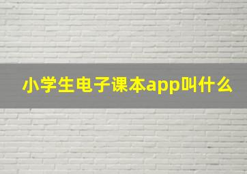 小学生电子课本app叫什么