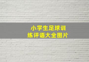 小学生足球训练评语大全图片