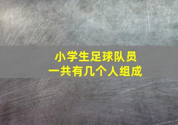 小学生足球队员一共有几个人组成