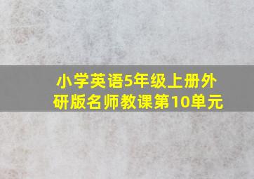 小学英语5年级上册外研版名师教课第10单元