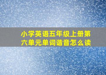 小学英语五年级上册第六单元单词谐音怎么读