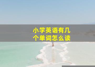 小学英语有几个单词怎么读