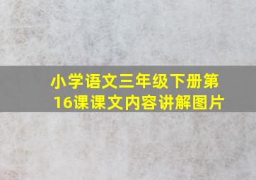 小学语文三年级下册第16课课文内容讲解图片