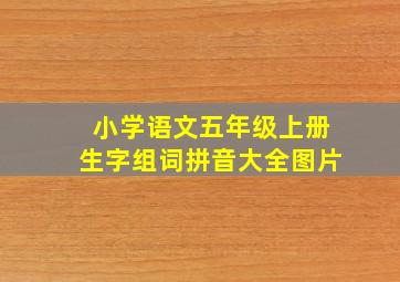 小学语文五年级上册生字组词拼音大全图片