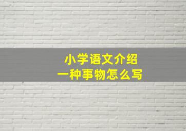 小学语文介绍一种事物怎么写