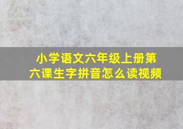 小学语文六年级上册第六课生字拼音怎么读视频