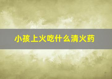 小孩上火吃什么清火药