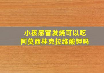 小孩感冒发烧可以吃阿莫西林克拉维酸钾吗