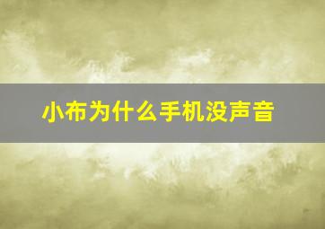 小布为什么手机没声音