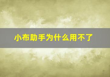 小布助手为什么用不了