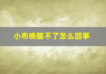 小布唤醒不了怎么回事