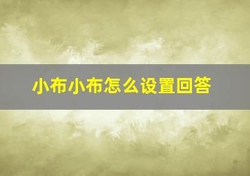 小布小布怎么设置回答