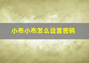 小布小布怎么设置密码