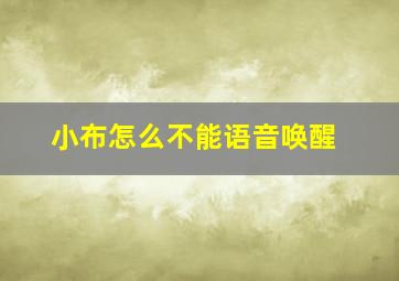 小布怎么不能语音唤醒