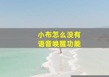 小布怎么没有语音唤醒功能