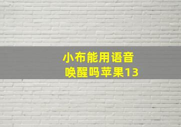 小布能用语音唤醒吗苹果13