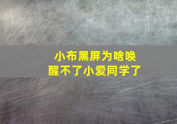 小布黑屏为啥唤醒不了小爱同学了