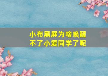 小布黑屏为啥唤醒不了小爱同学了呢