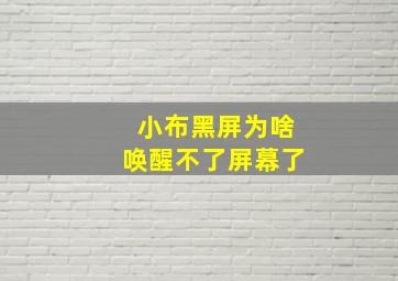 小布黑屏为啥唤醒不了屏幕了